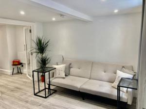 Φωτογραφία από το άλμπουμ του Brighton Palms στο Μπράιτον & Χόουβ