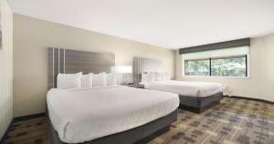 a hotel room with two beds and a window at Best Western Amador Inn in Jackson