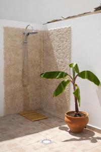 a plant in a bathroom with a shower at La Casita del Sol in Soo