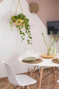 La Casita del Sol في Soo: طاولة وكراسي عليها نباتات على الحائط