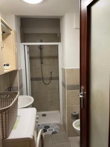 e bagno con doccia, servizi igienici e lavandino. di Appartamento vicino centro a Torino