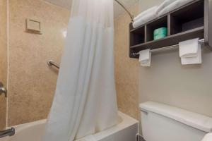 a bathroom with a shower with a white shower curtain at Quality Inn Charleston - West Ashley in Charleston
