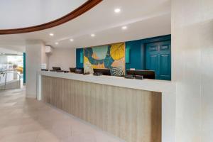 Hilton Vacation Club Royal Palm St Maarten في سيمبسون باي: لوبي مكتب مع كونتر استقبال وجدران زرقاء