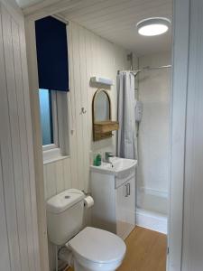 a white bathroom with a toilet and a sink at Pwllglas Bach - Spacious Cabin in Machynlleth