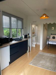 uma cozinha com um lavatório e uma bancada em Pwllglas Bach - Spacious Cabin em Machynlleth
