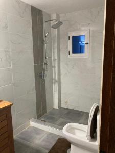 a bathroom with a shower and a toilet in it at Residence Eliz in Kabrousse