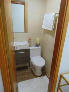 a bathroom with a toilet and a sink and a mirror at AM.AIRBNB in Santo Domingo