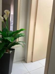 uma planta sentada num chão ao lado de uma porta em Apartamento encantador 6 em Montes Claros