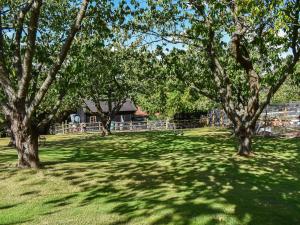 a group of trees in a field with a house at Lekido in Hernehill