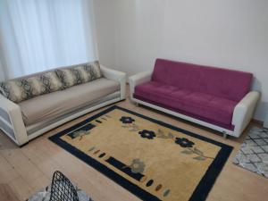 una sala de estar con 2 sofás y un sofá púrpura. en BE MY GUEST - Homestay ApartmentS Guest HouseS Sleeping Rooms, en Antalya