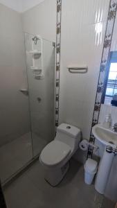 a bathroom with a toilet and a shower and a sink at Beach Life Palomino - Beach Club & Party Hostel in Palomino