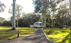 a road leading to a white house with two dogs on the grass at Lake Weyba Noosa Lodge & Kangaroos in Peregian Beach