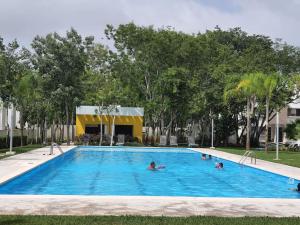a group of people swimming in a swimming pool at Casa de 3 habitaciones TODAS con baño propio, 3 y medio baños en toal, alberca, cupo hasta 12 personas in Playa del Carmen