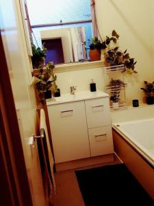 y baño con lavabo y espejo. en Wild Brumby- A cozy home away from home, en Corryong