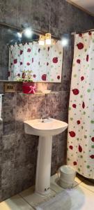 a bathroom with a sink and a shower curtain at Cabaña AlaSa in Los Ángeles