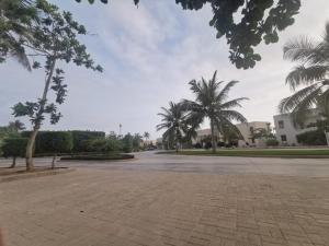 eine leere Straße mit Palmen und Gebäuden in der Unterkunft Hawana VIP Private Apartment in Wādī Khasbar