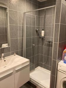 a bathroom with a shower and a sink at Ruim 2 slaapkamer appartement dichtbij Antwerpen, haven en natuur in Brasschaat