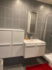 a bathroom with a sink and a mirror at Ruim 2 slaapkamer appartement dichtbij Antwerpen, haven en natuur in Brasschaat