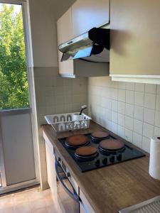 Ett kök eller pentry på Ruim 2 slaapkamer appartement dichtbij Antwerpen, haven en natuur