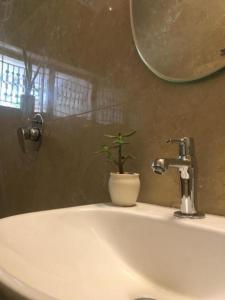 La salle de bains est pourvue d'un lavabo et d'une plante en pot. dans l'établissement White Butterfly, à Trivandrum
