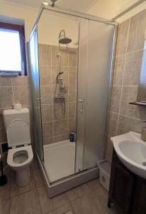 Kúpeľňa v ubytovaní Holiday home in Balatonkeresztur 43400