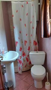 baño con aseo y cortina de ducha con flores en Kvasnyi en Kobyletskaya Polyana