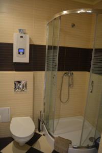 a bathroom with a shower and a toilet at Apartamenty Kotwica in Poddąbie