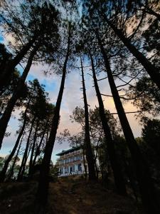 une maison au milieu d'un groupe d'arbres dans l'établissement Lap Of Himalayas Resort, à Kausani