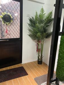 Eine Pflanze in einer Vase neben einer Tür in der Unterkunft Min Hao&Xin Transient in Manila