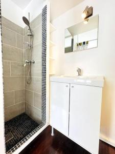 La salle de bains est pourvue d'un lavabo et d'une douche avec un miroir. dans l'établissement Studio Green Velvet, à Laon