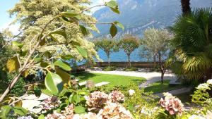 Naturlandskabet i nærheden af villaen