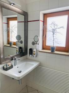a bathroom with a sink and a mirror and a window at Riverside Hotel Plzeň in Pilsen