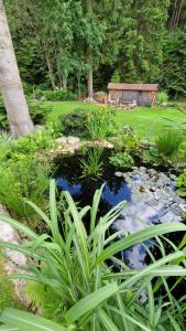 a pond in a garden with a bench in the background at Pension Linda in Harrachov