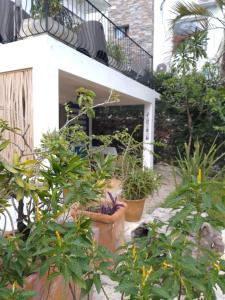 a garden with plants in pots in front of a building at NEW MORINGA in Las Terrenas