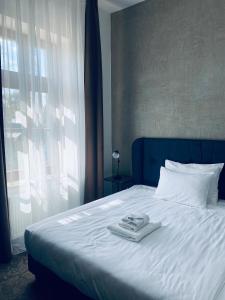 Riverside Hotel Plzeň客房内的一张或多张床位