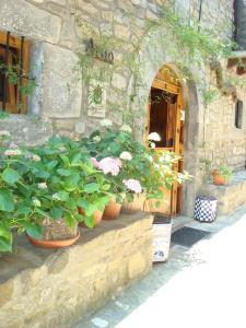 a bunch of potted plants sitting outside of a building at Casa Artio in Ansó