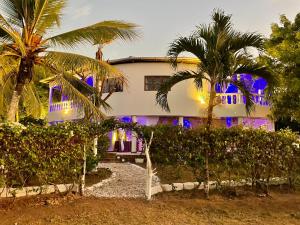 una casa con palmeras y luces púrpuras en Casa Hera en Diani Beach