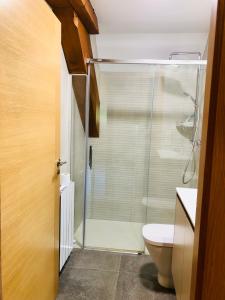 uma casa de banho com um chuveiro e um WC. em Apartamentos Zabalarena Basoa em Orbaiceta