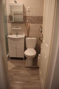 a small bathroom with a toilet and a sink at Fontana Apartman in Makó