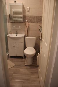 Koupelna v ubytování Fontana Apartman