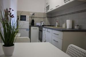 Kuchyň nebo kuchyňský kout v ubytování Fontana Apartman