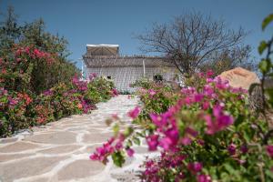 a garden with pink flowers on a stone path at RUSTIC VOGUE in Shamirpet
