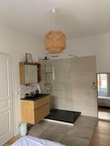 ein Bad mit einer Dusche, einem Waschbecken und einem Spiegel in der Unterkunft JO 2024 Maison avec jardin proche Paris Versailles in Saclay