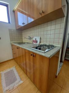 cocina con fregadero y encimera en Apartments Kraja, en Velipojë