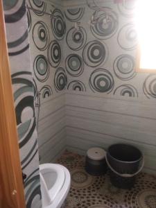 a bathroom with a toilet and a shower at Chand Tara paying Guest house in Srinagar