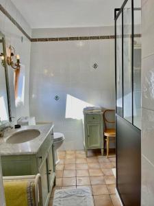 een badkamer met een wastafel, een toilet en een douche bij Le Clos des Princes in Châtenay-Malabry