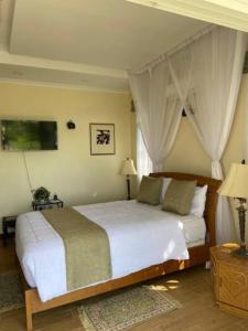 1 dormitorio con 1 cama blanca grande con cortinas en Villa (9) Del Sol: 1 bedroom, a patio & Lakefront en Kisumu