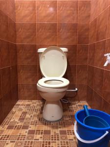 a bathroom with a toilet and a blue bucket at Pondok Sri Salang in Kampong Telok Salang