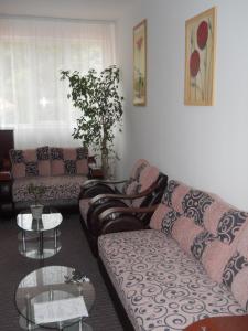 Część wypoczynkowa w obiekcie Garni hotel Alma