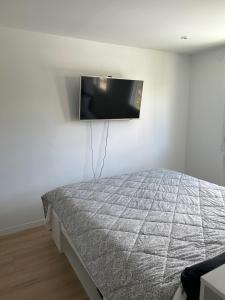 1 dormitorio con 1 cama y TV de pantalla plana en la pared en Villa piscine, jardin et tranquillité, en Saint-Étienne